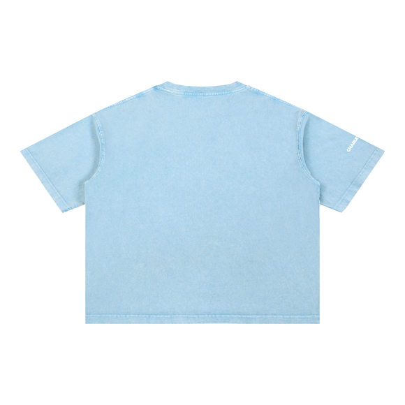 Eagles In Nuptial Flight Mineral Wash Boxy Cotton T-Shirt
