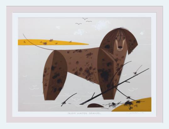 Irish Water Spaniel Museum Quality Reproduction Giclee Print Of Archival Harper Original