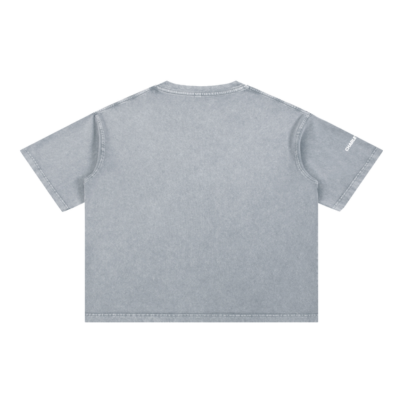 Eagles In Nuptial Flight Mineral Wash Boxy Cotton T-Shirt