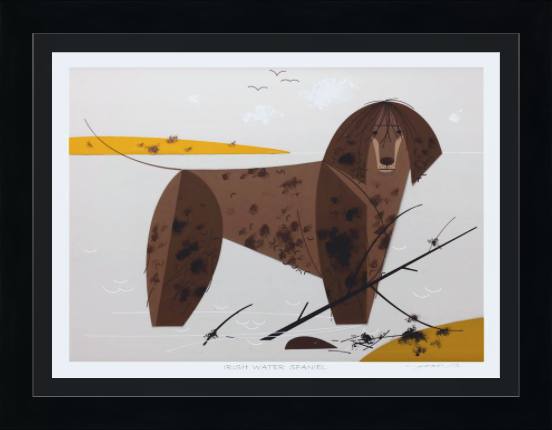 Irish Water Spaniel Museum Quality Reproduction Giclee Print Of Archival Harper Original