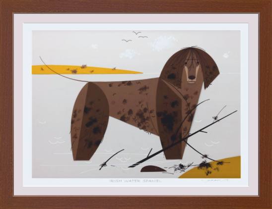 Irish Water Spaniel Museum Quality Reproduction Giclee Print Of Archival Harper Original