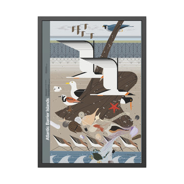Atlantic Barrier Islands Charley Harper for the NPS Pinewood Frame