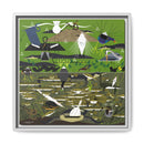Charley Harper Florida Everglades Wall Art – Mid-Century Modern Geometric Bird Canvas with Minimal Wildlife Accents-16