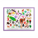 Florida Keys  Colored Frame Posters-9