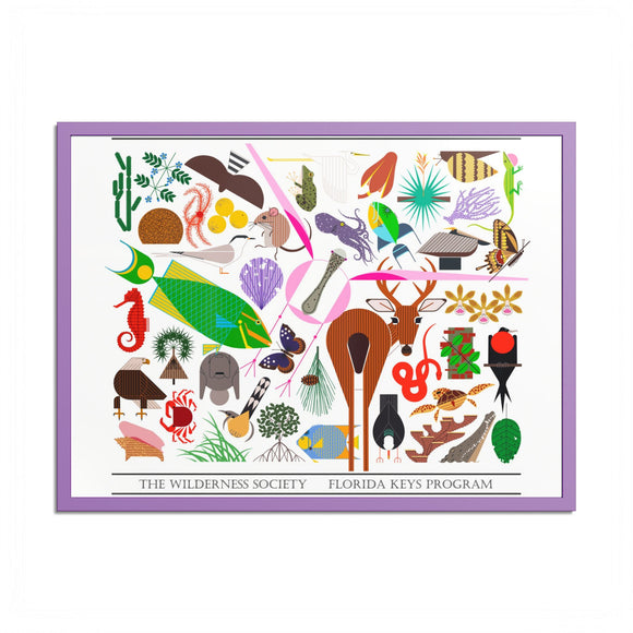 Florida Keys  Colored Frame Posters