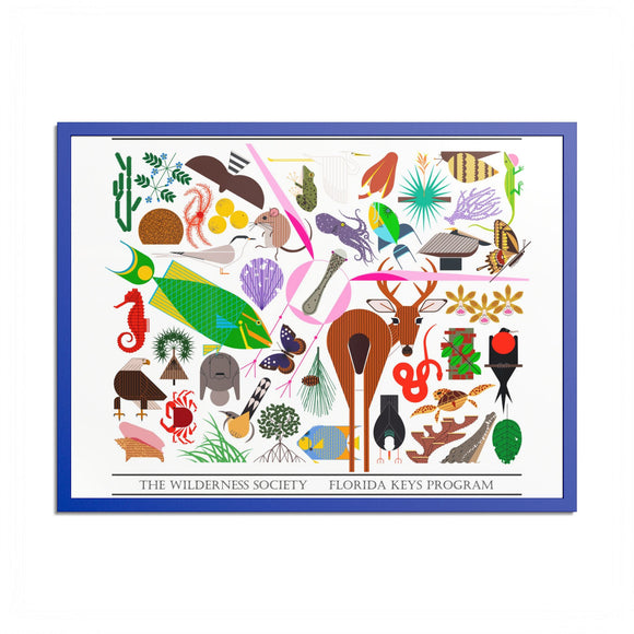 Florida Keys  Colored Frame Posters