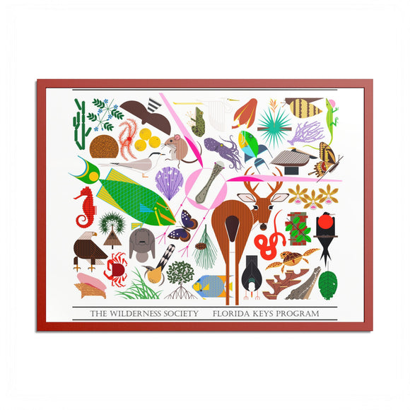Florida Keys  Colored Frame Posters