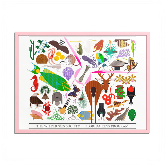 Florida Keys  Colored Frame Posters