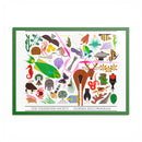 Florida Keys  Colored Frame Posters-6