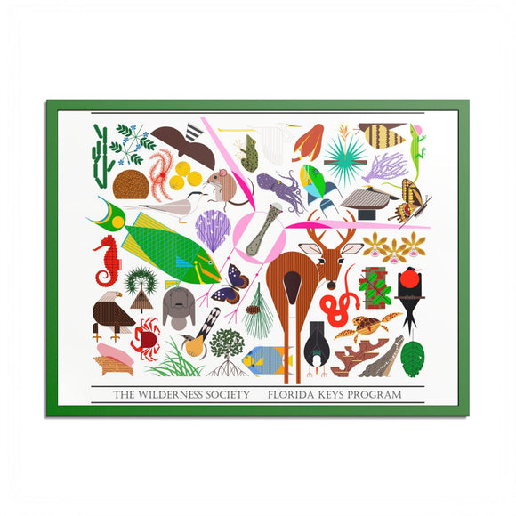 Florida Keys  Colored Frame Posters