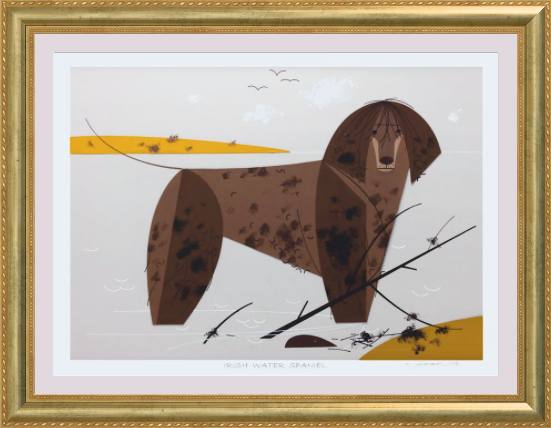 Irish Water Spaniel Museum Quality Reproduction Giclee Print Of Archival Harper Original