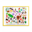 Florida Keys  Colored Frame Posters-5