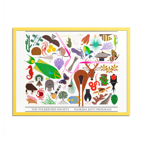 Florida Keys  Colored Frame Posters