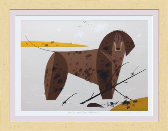 Irish Water Spaniel Museum Quality Reproduction Giclee Print Of Archival Harper Original