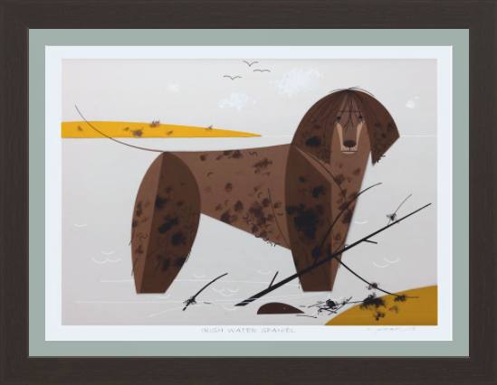 Irish Water Spaniel Museum Quality Reproduction Giclee Print Of Archival Harper Original