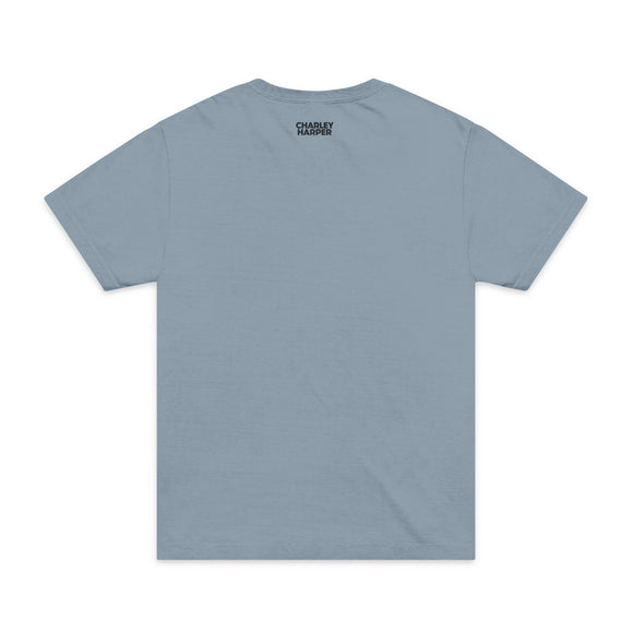 CAM Mystery of the Missing Migran Unisex Oversized Garment-Dyed T-Shirt