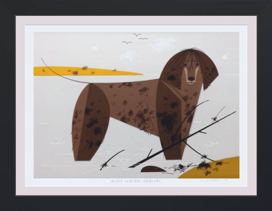 Irish Water Spaniel Museum Quality Reproduction Giclee Print Of Archival Harper Original