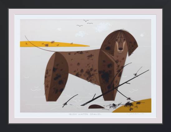 Irish Water Spaniel Museum Quality Reproduction Giclee Print Of Archival Harper Original