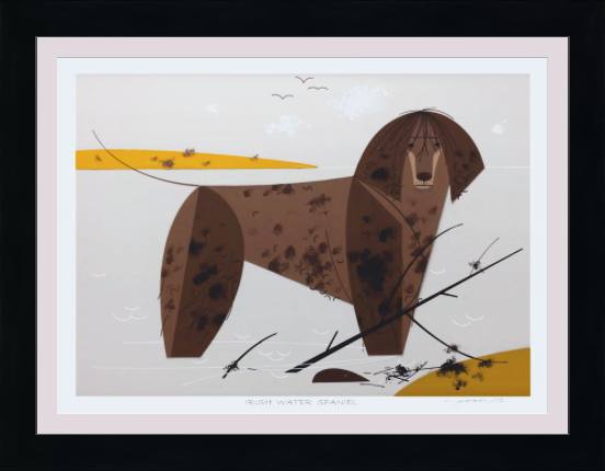 Irish Water Spaniel Museum Quality Reproduction Giclee Print Of Archival Harper Original