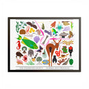 Florida Keys  Colored Frame Posters-3