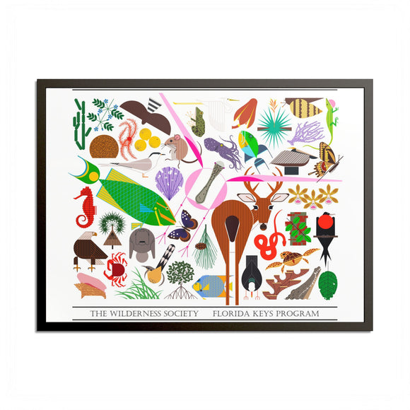 Florida Keys  Colored Frame Posters