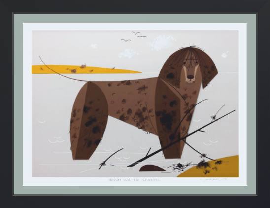 Irish Water Spaniel Museum Quality Reproduction Giclee Print Of Archival Harper Original