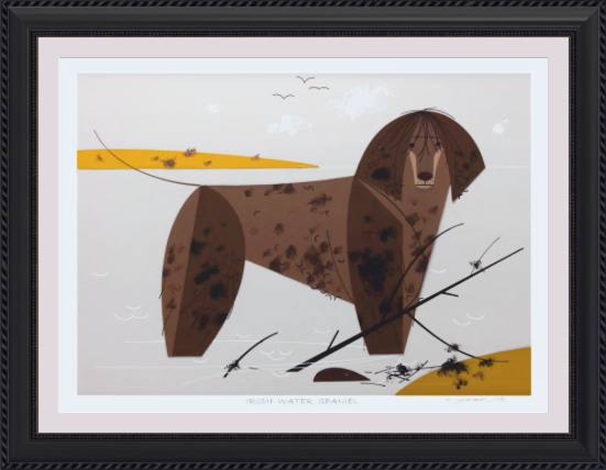 Irish Water Spaniel Museum Quality Reproduction Giclee Print Of Archival Harper Original