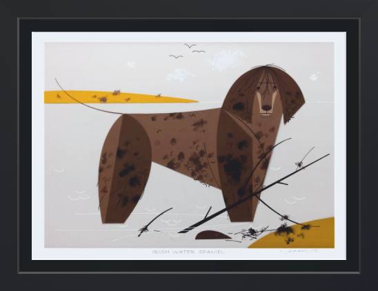 Irish Water Spaniel Museum Quality Reproduction Giclee Print Of Archival Harper Original