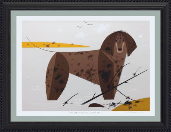 Irish Water Spaniel Museum Quality Reproduction Giclee Print Of Archival Harper Original