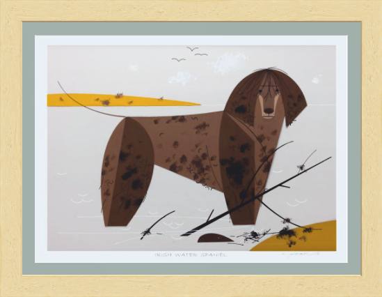 Irish Water Spaniel Museum Quality Reproduction Giclee Print Of Archival Harper Original