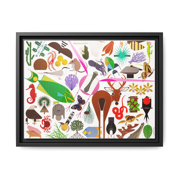 Charley Harper Florida Keys Framed Giclee On Canvas Wall Art