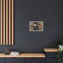 Ivory Billed Woodpecker Charley Harper Framed Giclee Print on Stretched on Canvas-51