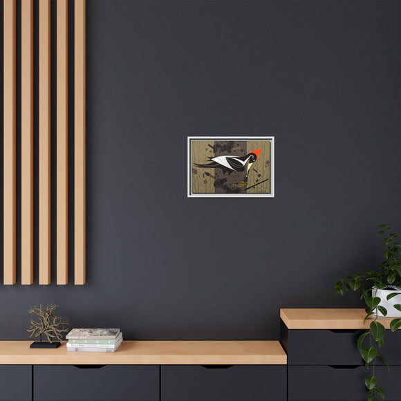 Ivory Billed Woodpecker Charley Harper Framed Giclee Print on Stretched on Canvas