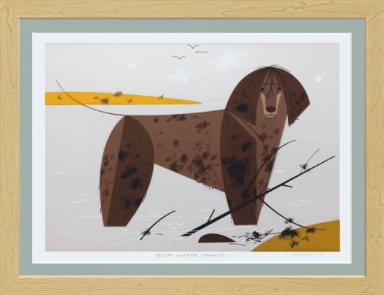 Irish Water Spaniel Museum Quality Reproduction Giclee Print Of Archival Harper Original