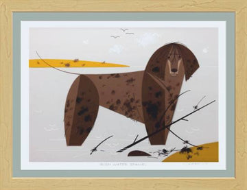 Irish Water Spaniel Museum Quality Reproduction Giclee Print Of Archival Harper Original
