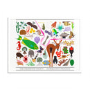 Florida Keys  Colored Frame Posters-1