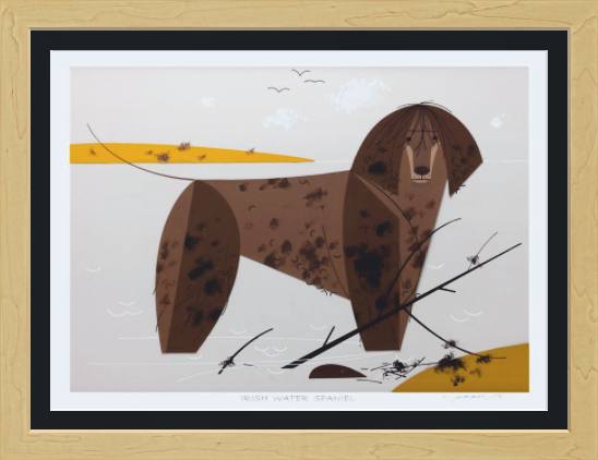 Irish Water Spaniel Museum Quality Reproduction Giclee Print Of Archival Harper Original