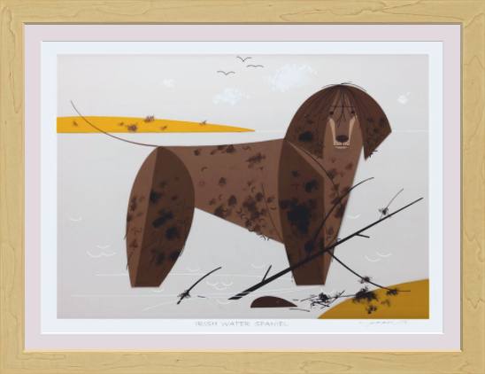 Irish Water Spaniel Museum Quality Reproduction Giclee Print Of Archival Harper Original