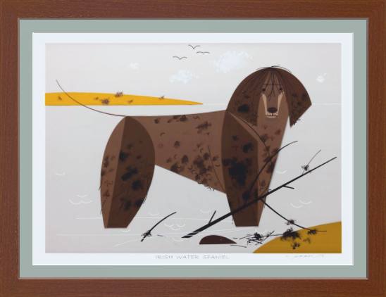 Irish Water Spaniel Museum Quality Reproduction Giclee Print Of Archival Harper Original