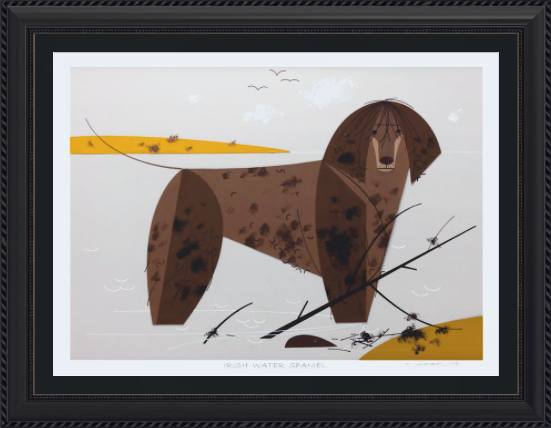 Irish Water Spaniel Museum Quality Reproduction Giclee Print Of Archival Harper Original