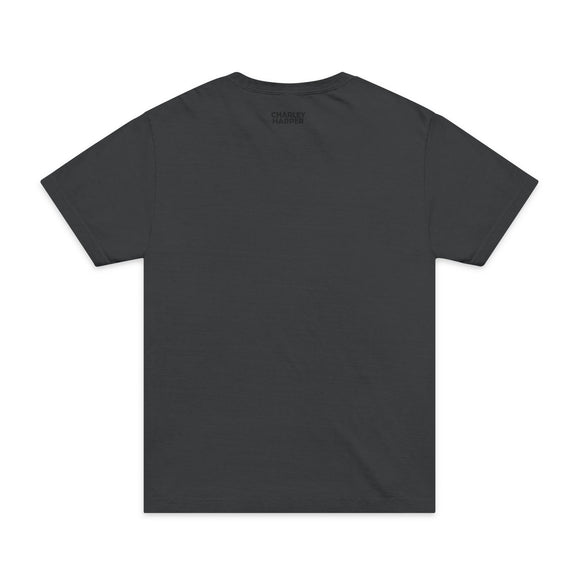 CAM Mystery of the Missing Migran Unisex Oversized Garment-Dyed T-Shirt