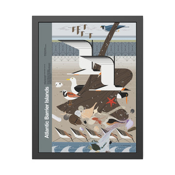 Atlantic Barrier Islands Charley Harper for the NPS Pinewood Frame - 0
