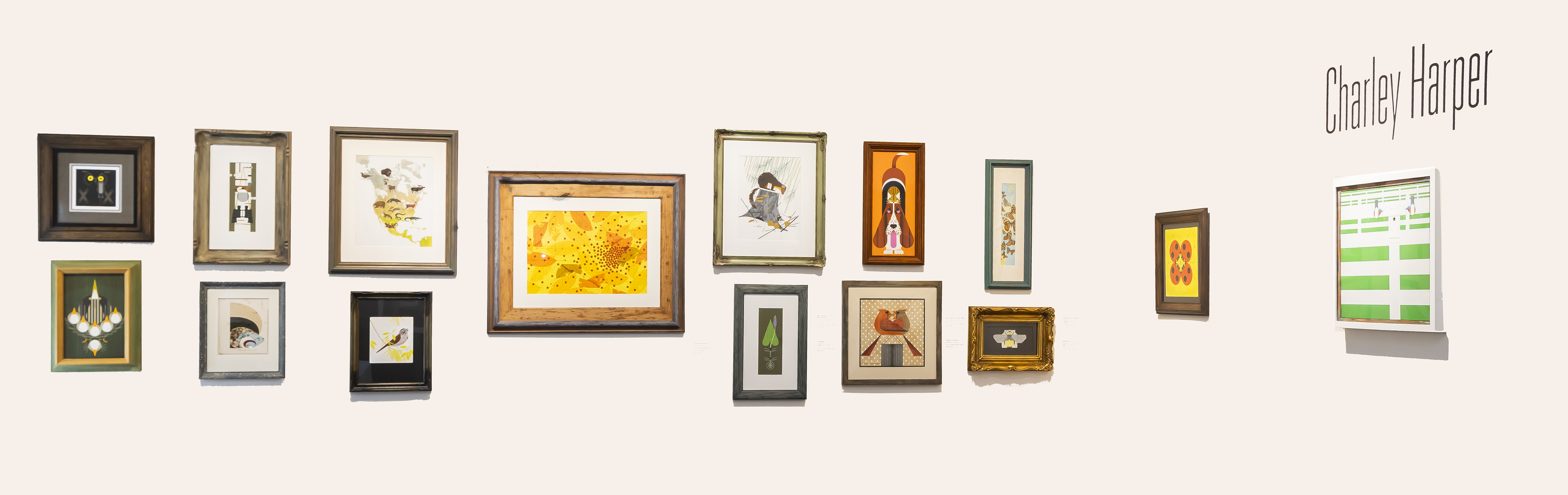 TIMELESS WILDLIFE ART