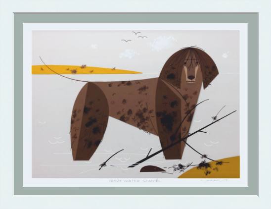 Irish Water Spaniel Museum Quality Reproduction Giclee Print Of Archival Harper Original