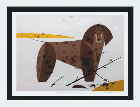 Irish Water Spaniel Museum Quality Reproduction Giclee Print Of Archival Harper Original