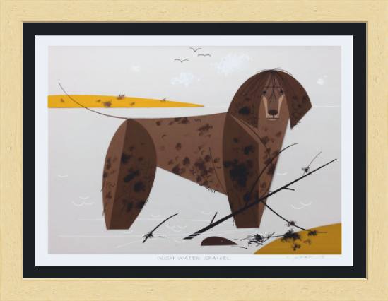 Irish Water Spaniel Museum Quality Reproduction Giclee Print Of Archival Harper Original
