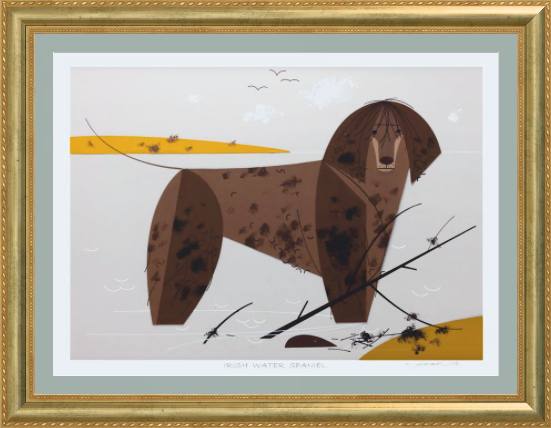 Irish Water Spaniel Museum Quality Reproduction Giclee Print Of Archival Harper Original