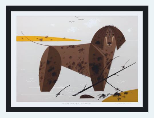 Irish Water Spaniel Museum Quality Reproduction Giclee Print Of Archival Harper Original
