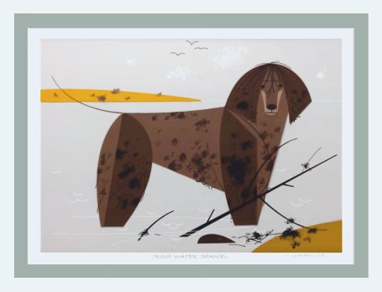 Irish Water Spaniel Museum Quality Reproduction Giclee Print Of Archival Harper Original