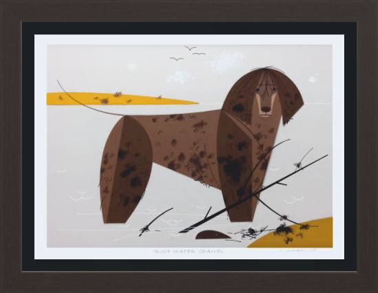 Irish Water Spaniel Museum Quality Reproduction Giclee Print Of Archival Harper Original